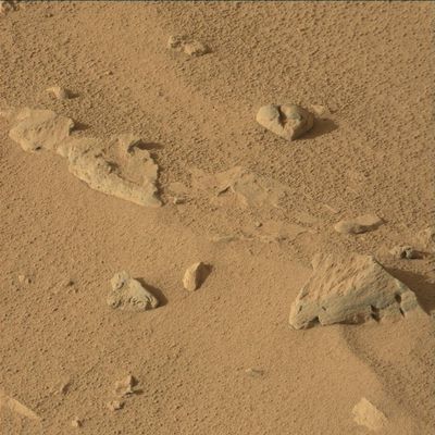 Curiosity-01-10-12a.jpg