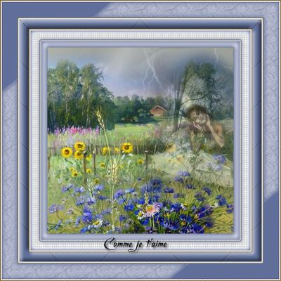 abeille-orage.jpg