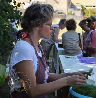 Faites des AMAP - Cuisinez les légumes feuilles et les fanes de légumes.