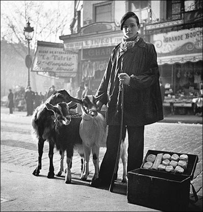 Photographe inconnu, le petit chevrier, Paris chevrier_1.jpg