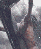 jesusoncrossraining.gif