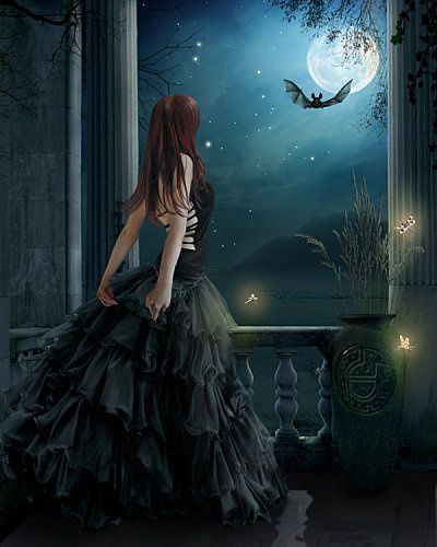 Moonlit_night_by_Pygar.jpg