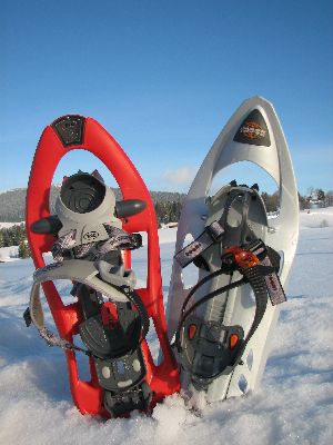 2012-02-19---Feldberg-e.jpg