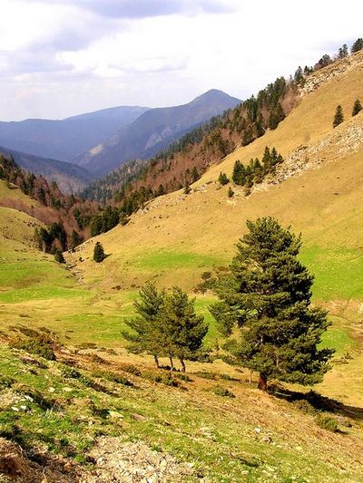 paysage de berger