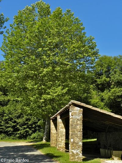 chateau de Bouisse 013 lavoir au sud sur la D70