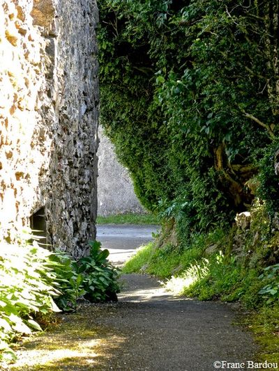 chateau de Bouisse 016