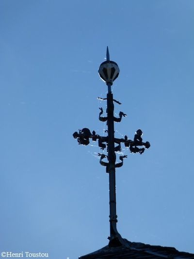 Mazuby 060