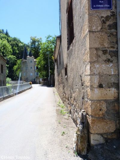 Niort de Sault 027 le chateau