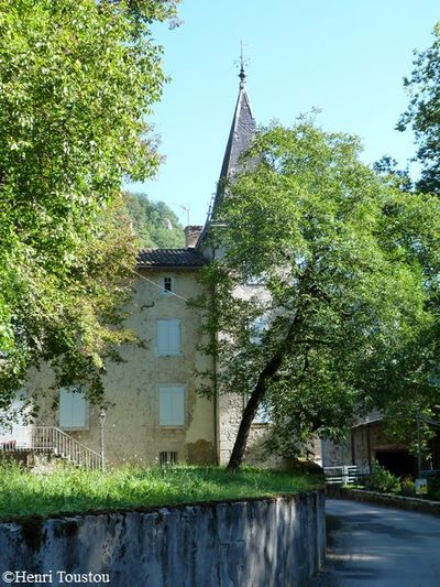 Niort de Sault 030 chateau