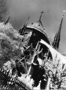 dumas_nora-notre_dame_paris.jpg