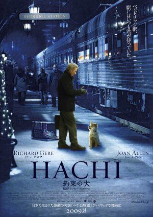 HACHI TO
