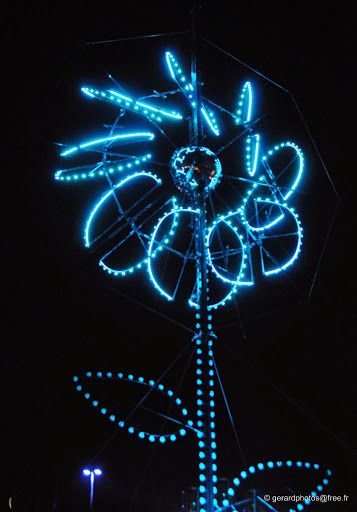 Marguerite---Fete-des-Lumieres---Lyon-2013---14-c-gerard.jpg
