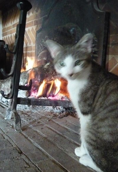 brr.jpg