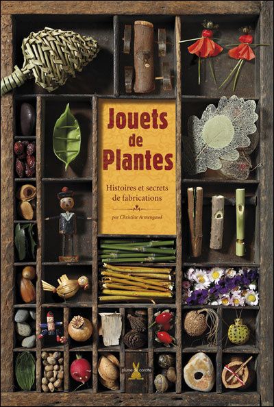 jouets-de-plantes-1.jpg