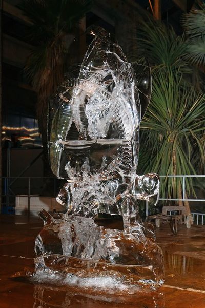 2012 12 26 Nantes Nefs Sculpture sur glace papillon (17) Dx