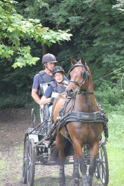 Fete-du-cheval-18-08-13 4697