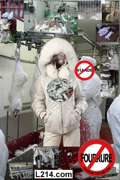 affiche_fourrure_e2.jpg