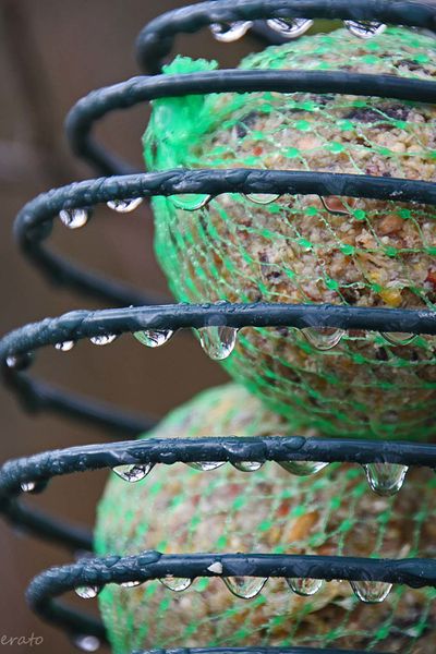 pluie-006a.jpg