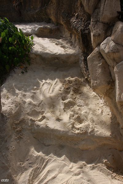 11-mai-2011---La-ferme-aux-crocodiles---suite--190-a.jpg