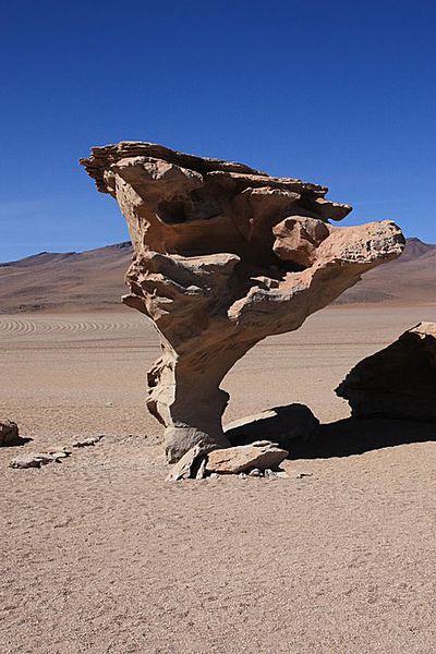 El-arbol-de-piedra-AVE-3-.jpg