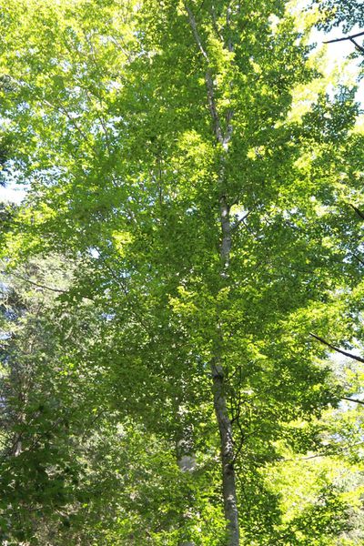 Paysage-2399.jpg