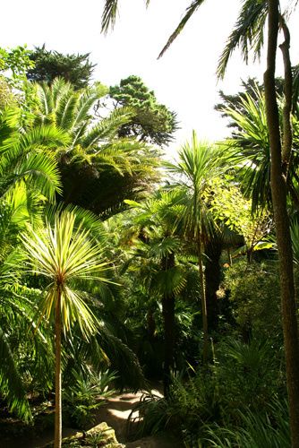 DSC03378