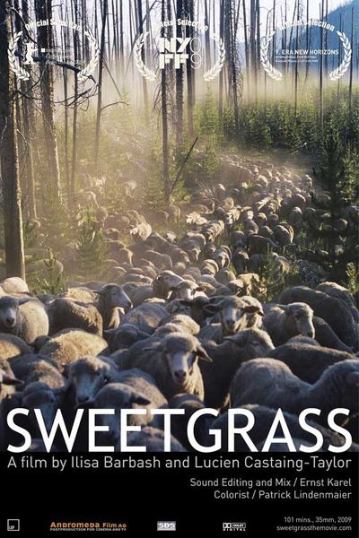 Sweetgrass.jpg