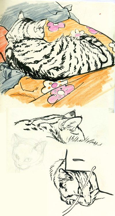 kittymeaow.jpg