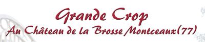 Banniere-de-la-crop-du-Chateau---400px.jpg
