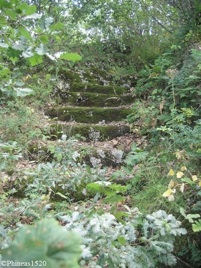 Niort de Sault 020 les ruines du chateau