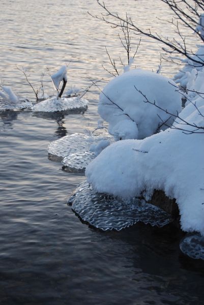 Norge-2009-2010 4818