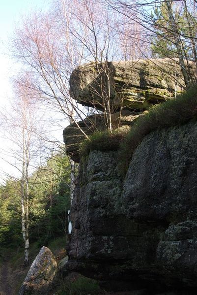L14 - rando foret de Repy - roche du renard [1280x768]