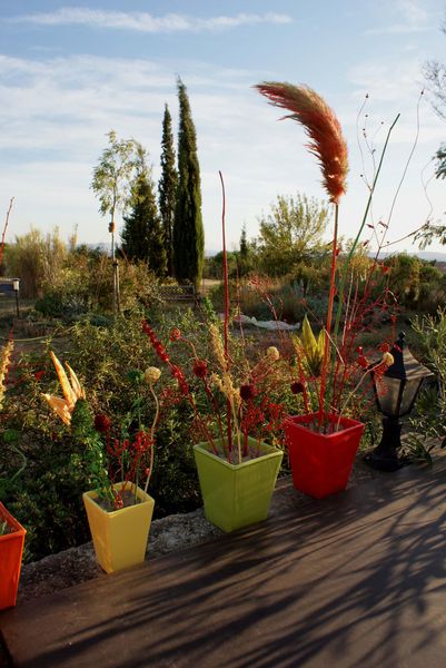 Pots terrasse 6856