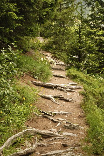 chemin
