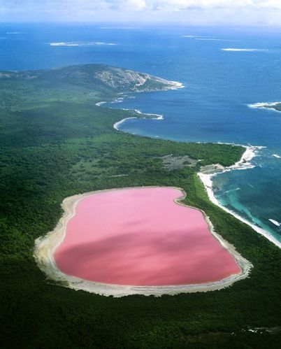 Le-lac-rose---Australie-jpg 141941