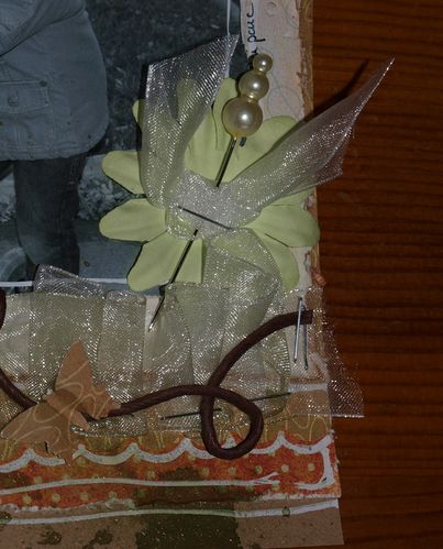janvier 2010 006