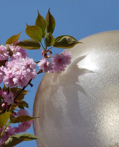 2035 arbre en fleurs