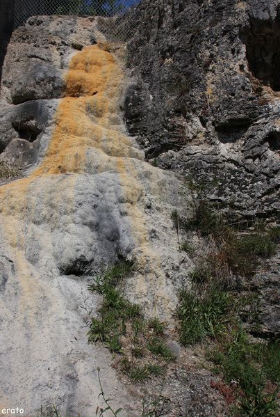 2juillet2011--Gimeaux---sources-petrifiantes---tournesols-.JPG