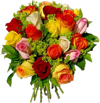 Attention Fragile - Page 2 Fleurs