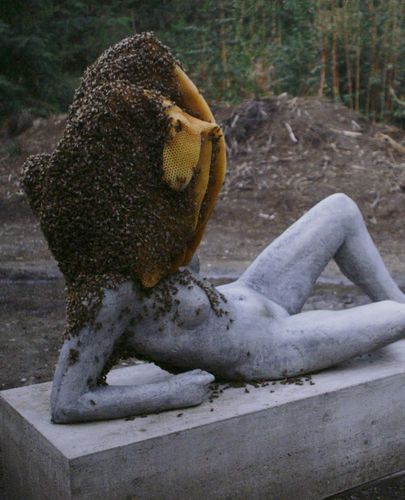 DP-Pierre-Huyghe-4.jpg