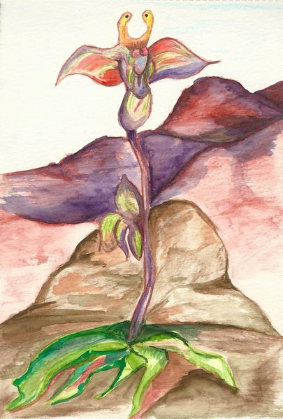 aquarelle orchidée 1