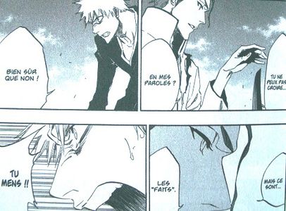 Bleach-T.46-4.JPG