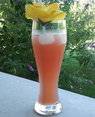 null Cocktail-Sex-on-the-beach.jpg