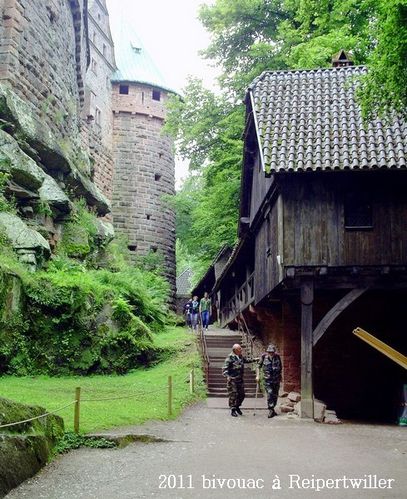 2011-07-30-03 Biwak (Haut-Koenigsbourg)