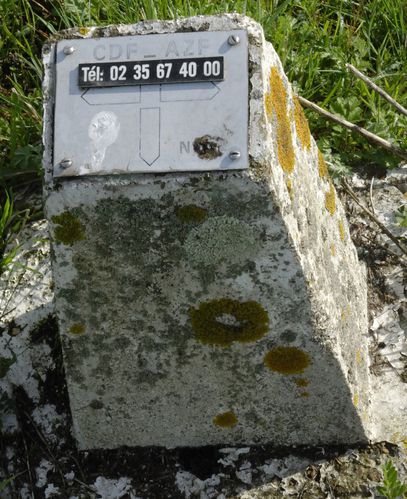 Bardouville-borne-AZF.jpg