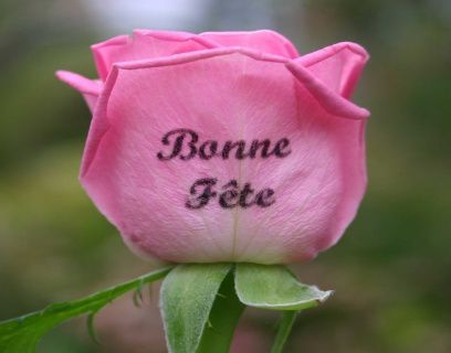 [Image: detail_bonne-fete-rose.jpg]