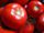 Tomates_20_72.jpg