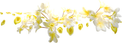 7451824b.png