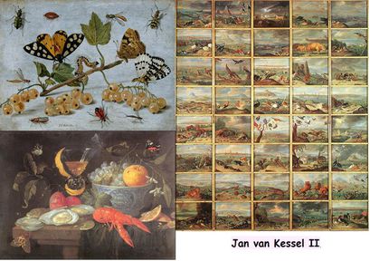 Jan van Kessel II choix d'oeuvres
