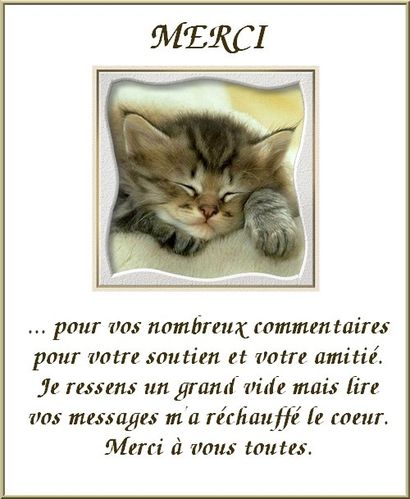 MERCI.jpg
